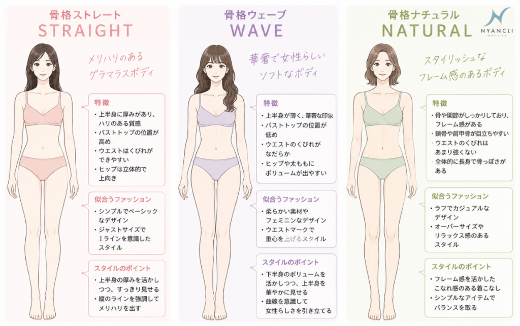 骨格イメージ
